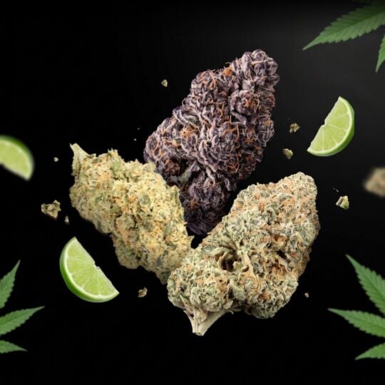 Sativa THCa Flower Bundle