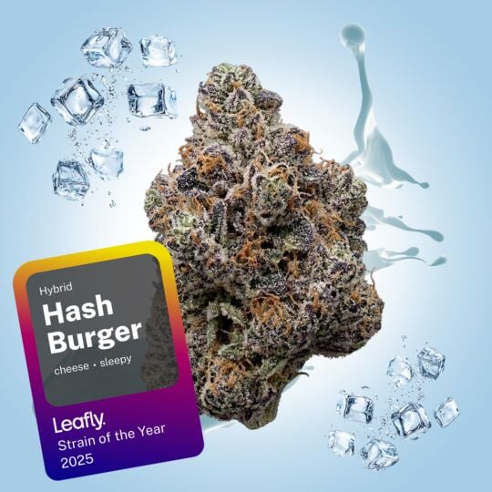 Hash Burger THCa Flower - 1/8oz (3.5g)