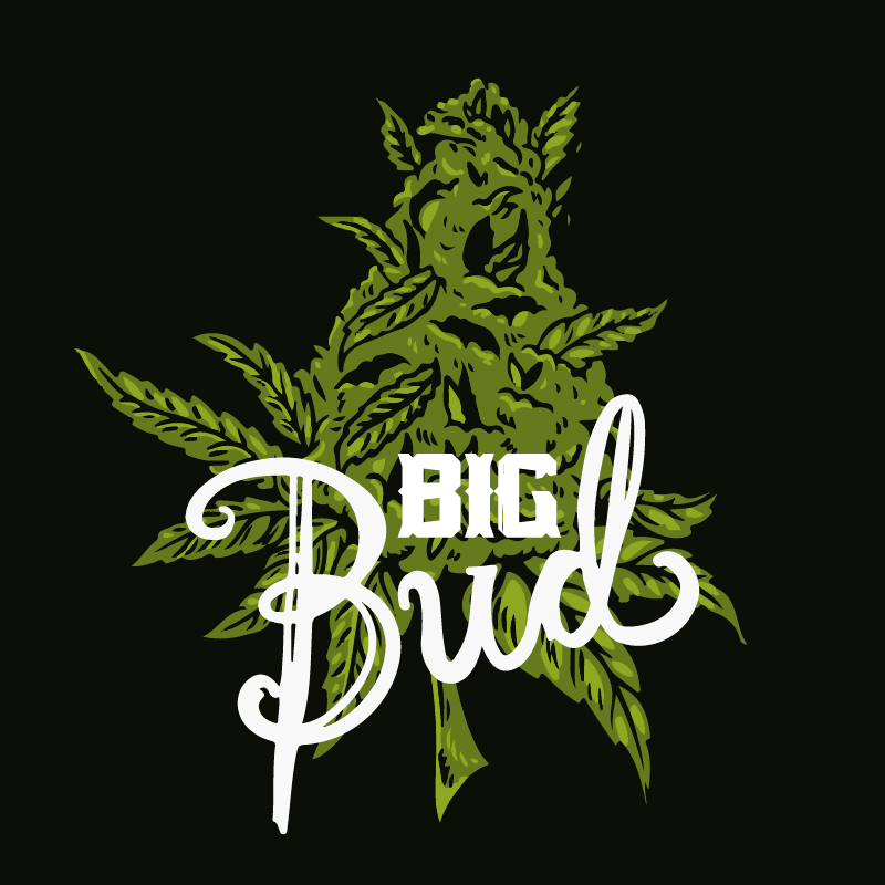 Buy Big Bud Feminized by Seed Supreme | SeedSupreme
