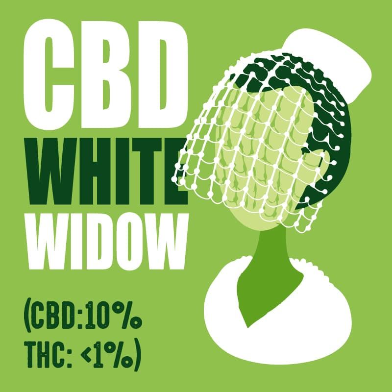 White Widow CBD