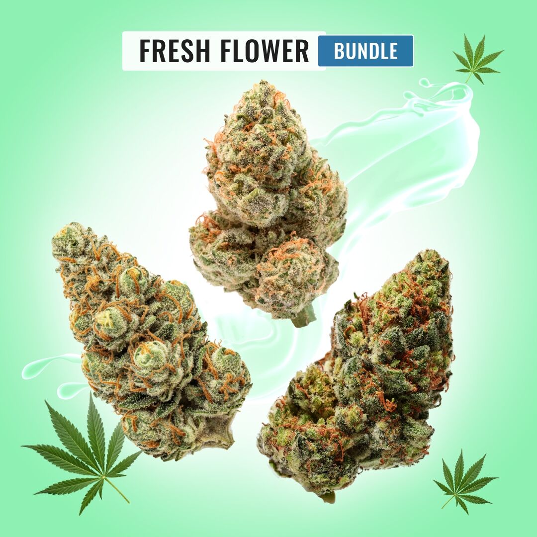 ほぼ新品 Kapital フラワーウエストポーチ WEED 420 Fresh THCa Flower Bundle | Seed Supreme