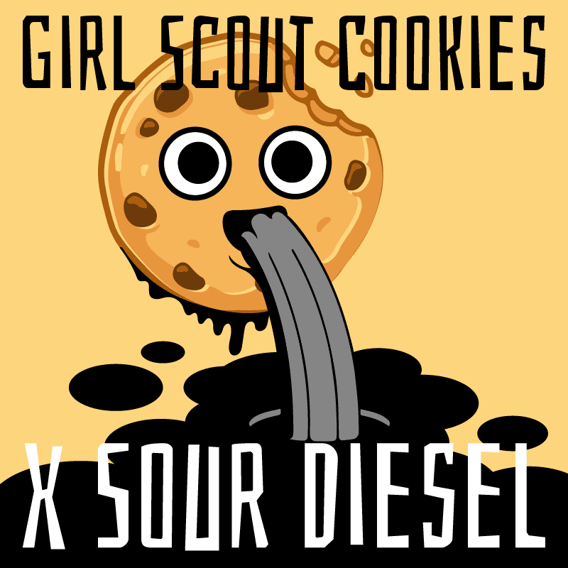 Girl Scout Cookies X Sour Diesel