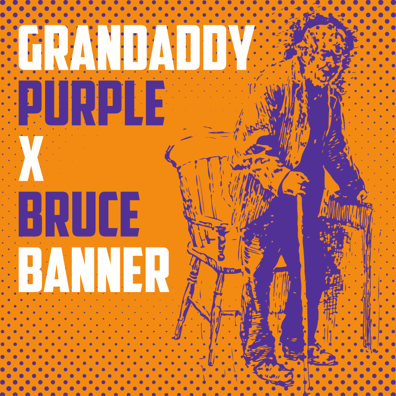Grandaddy Purple X Bruce Banner