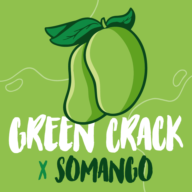 Green Crack X Somango