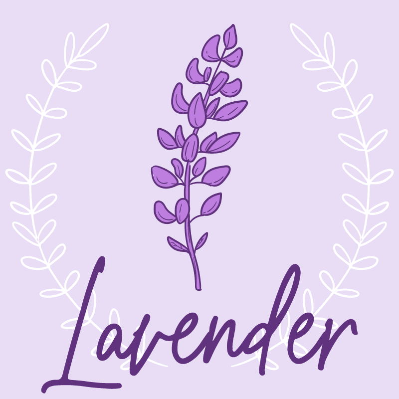 Lavender #1