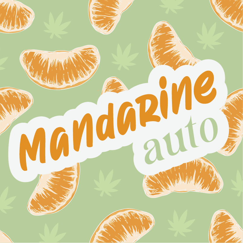 Cream Mandarine Auto