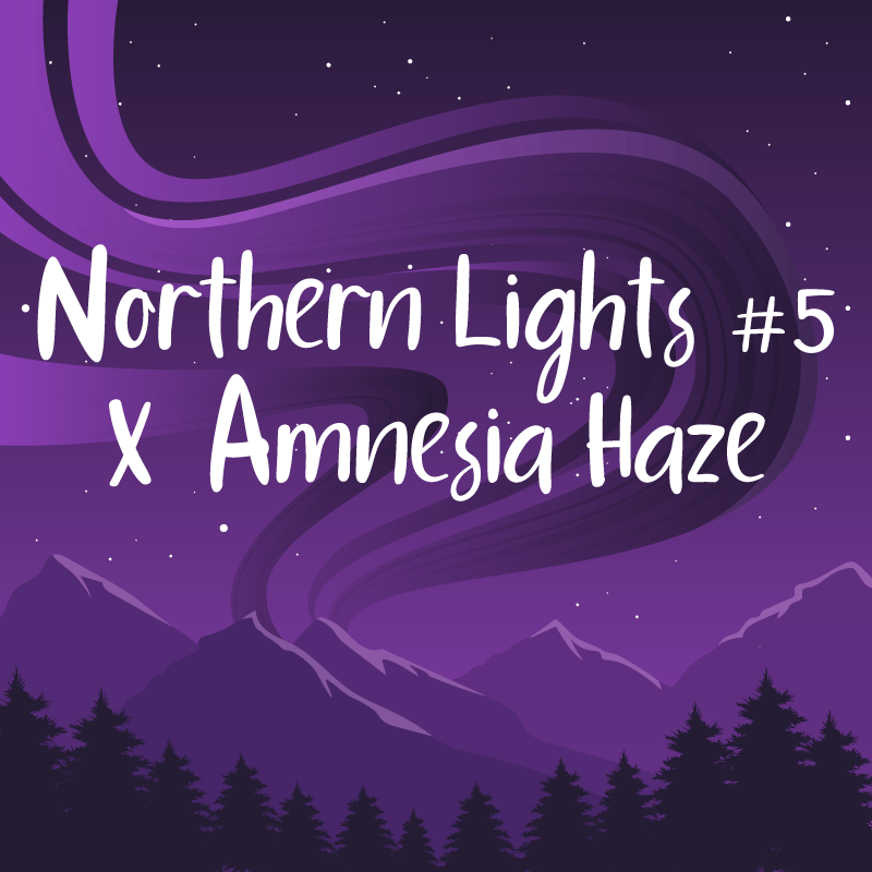 Northern Lights #5 X Amnesia Haze