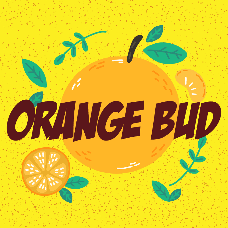 Orange Bud