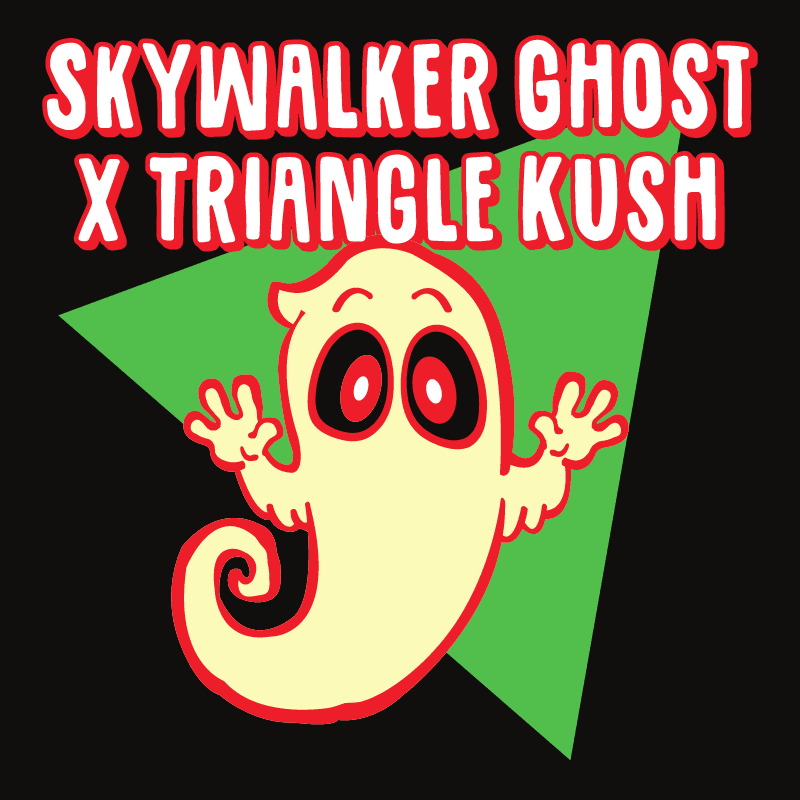 Skywalker Ghost X Triangle Kush