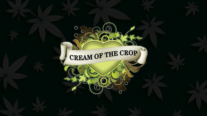 https://seedsupreme.com/media/codazon_cache/brand/1200x/codazon/brand/Covers/cream-of-the-crop-seeds-seedbank-cover.jpg