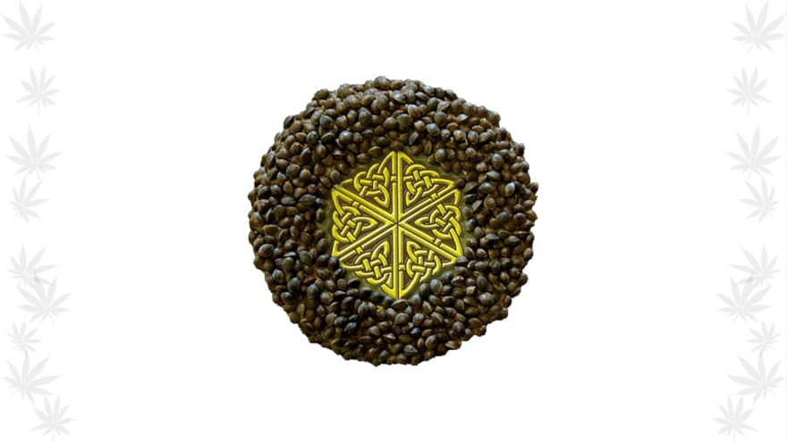 https://seedsupreme.com/media/codazon_cache/brand/1200x/codazon/brand/Covers/mandala-seeds-seedbank-cover.jpg