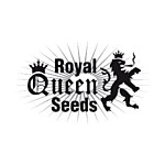 Royal Queen Seeds