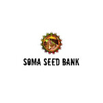 Soma Seeds