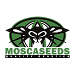 Mosca Seeds
