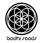 Bodhi Seeds