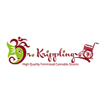Dr Krippling