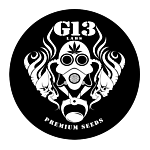 G13 Labs