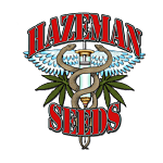 Hazeman Seeds