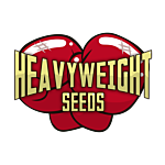 Heavyweight Seeds