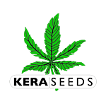 Kera Seeds