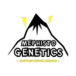 Mephisto Genetics
