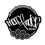 Pheno Finder Seeds