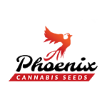 Phoenix Seeds