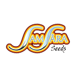 SAMSARA