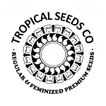 Tropical Seeds