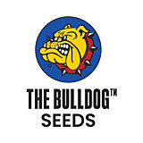 The Bulldog Seeds