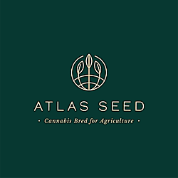 https://seedsupreme.com/media/codazon_cache/brand/250x/Atlas_Seed_Logo.png