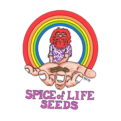 https://seedsupreme.com/media/codazon_cache/brand/250x/codazon/brand/spice_of_life_seeds.png