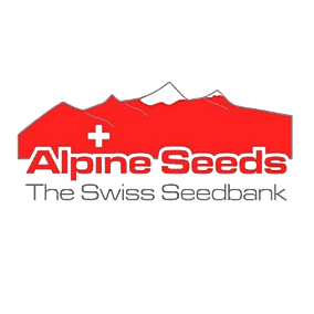 Alpine Seeds