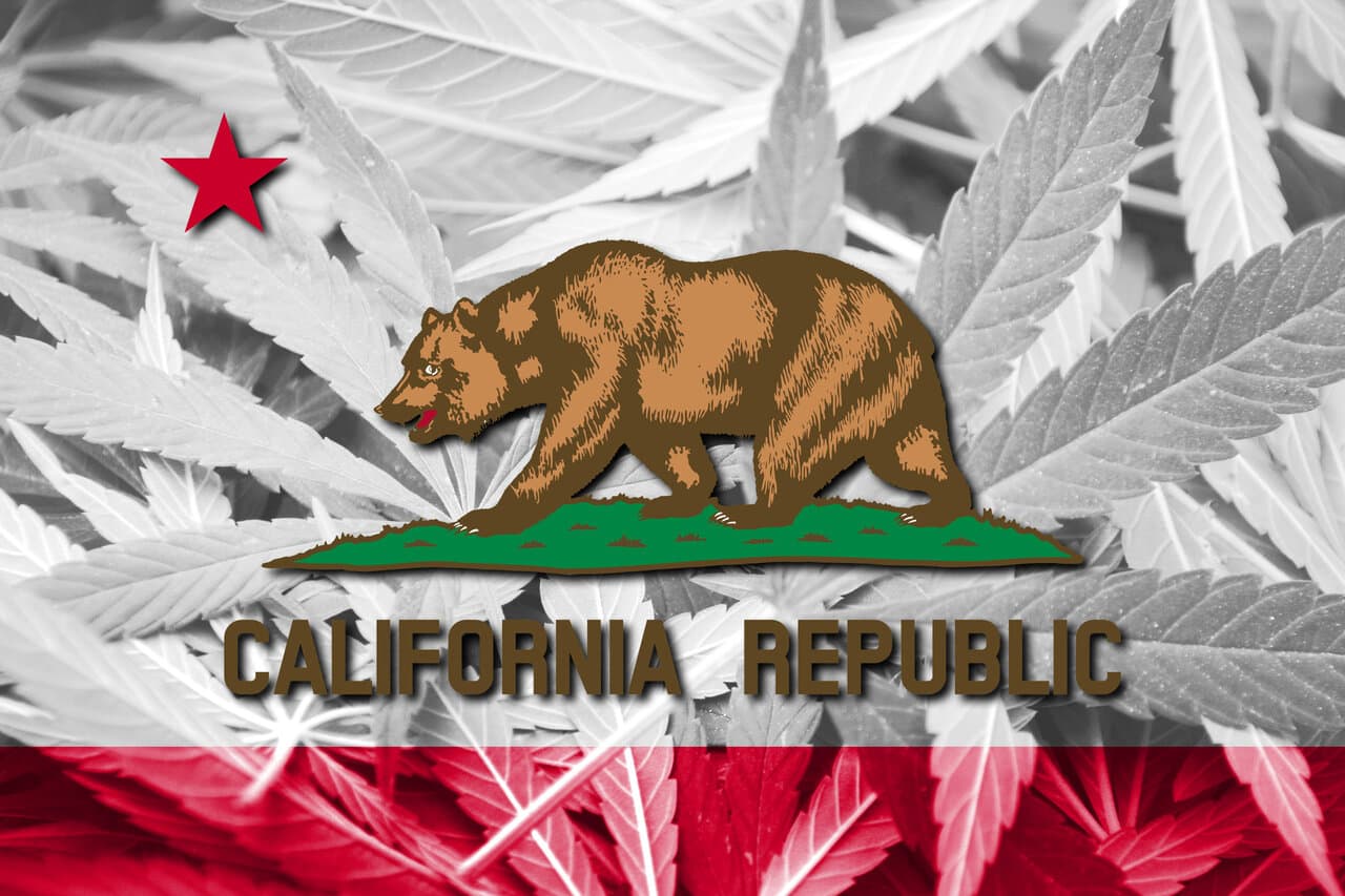 Cannabis seeds in California