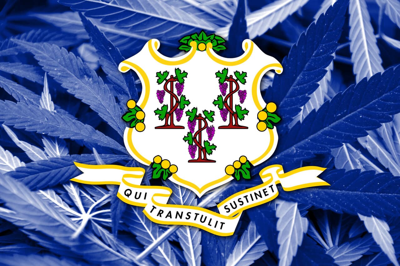 Cannabis Seeds in Connecticut