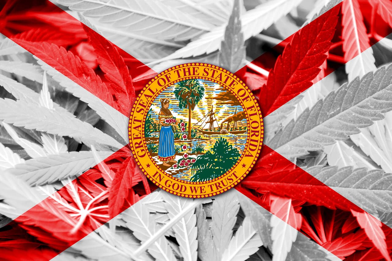 Marijuana seeds in Florida