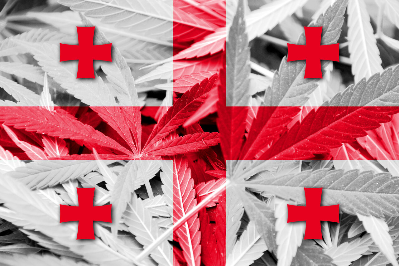 Cannabis seeds in Georgia 