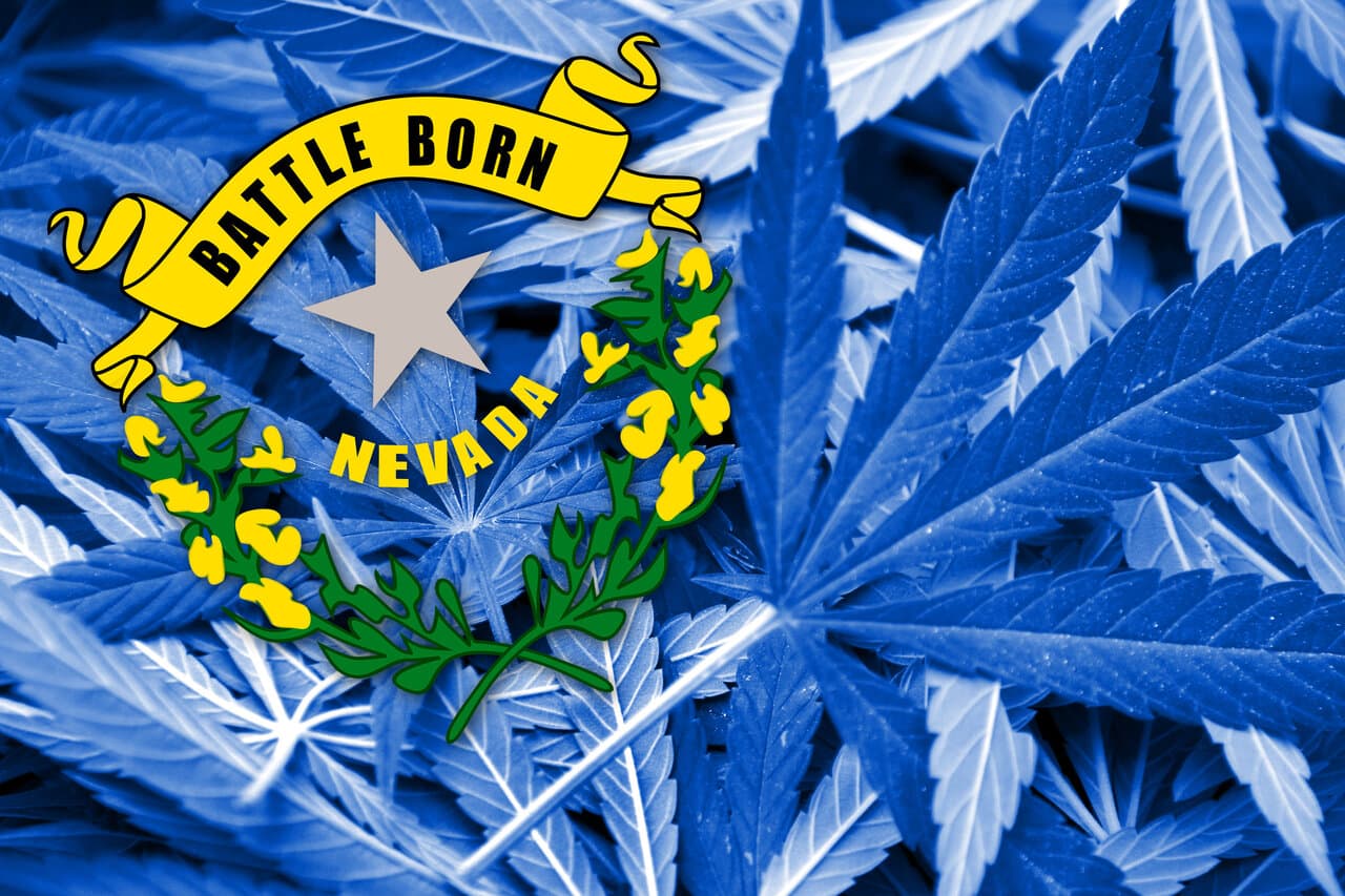 Cannabis seeds in Nevada