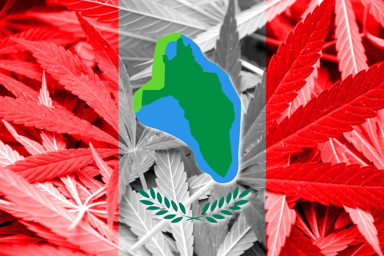 Cannabis seeds in New York