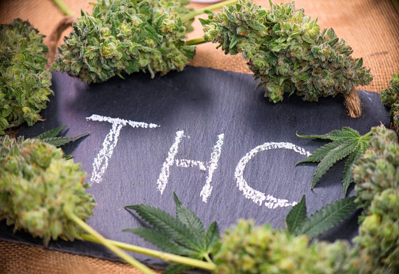 What does THC do to the body? 