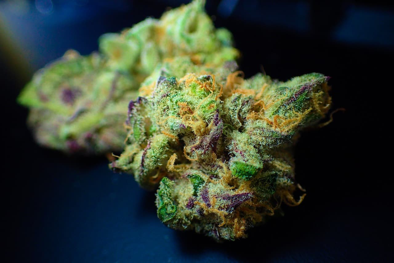 Best Hybrid Marijuana Strains