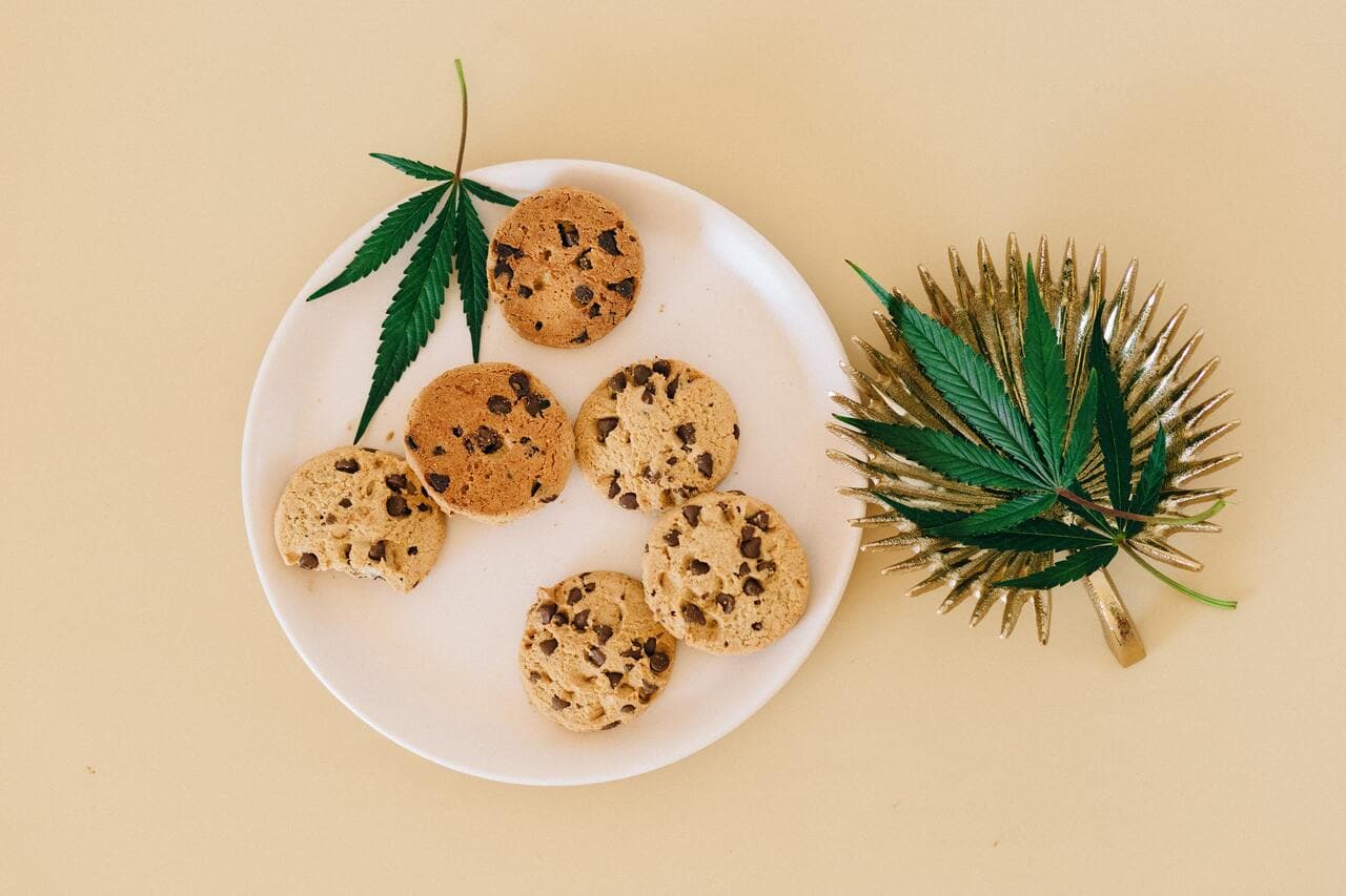 Ten best strains for edibles