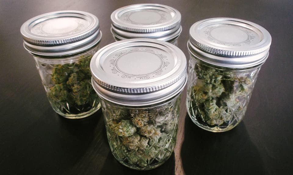 Best Ways to Store Weed to Keep it Fresh