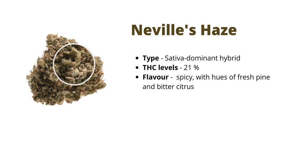 Neville's Haze