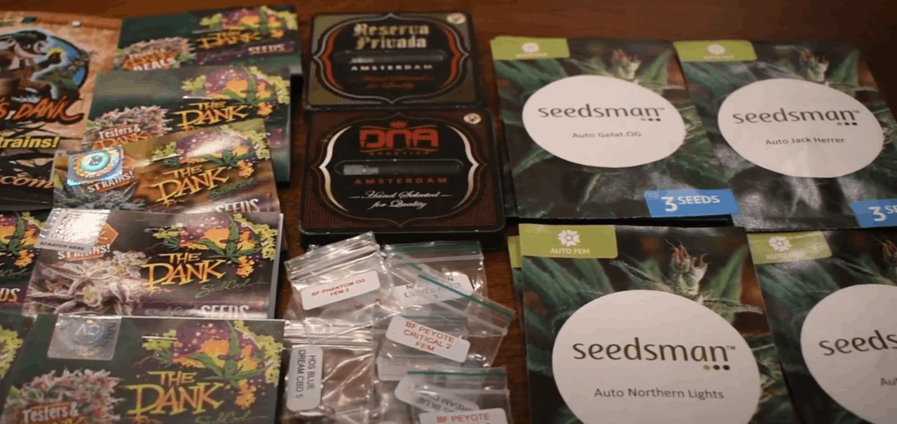 envelopes for storing cannabis seeds