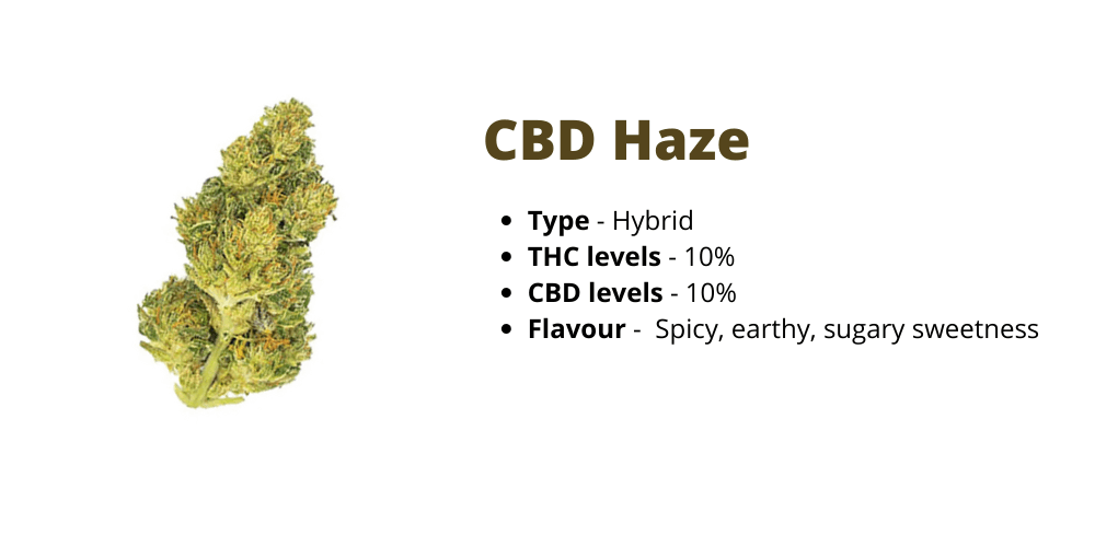 cbd haze strain