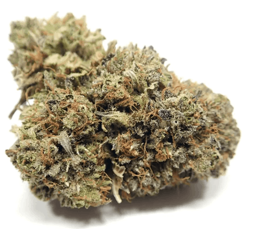 OG Kush feminized