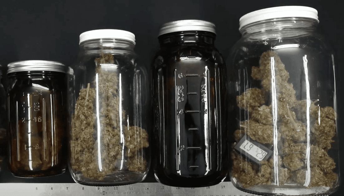 glass jars for cannabis seeds storage