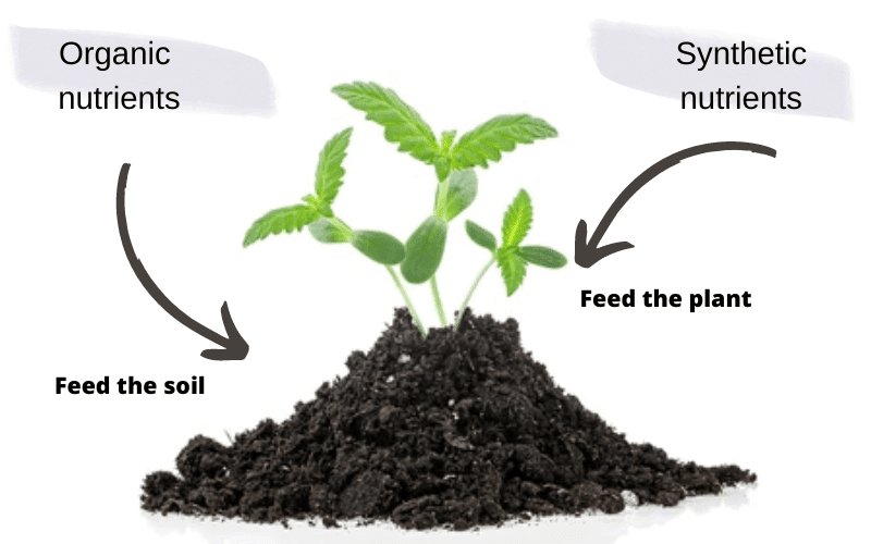 organic and synthetic nutrients for outdoor grow