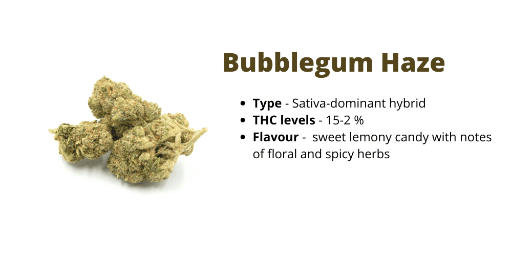 bubblegum haze